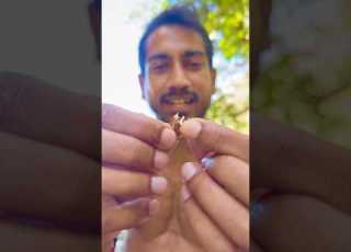 You Ever Had A RAW Almond Timothyramai6003