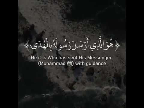 محمد رسول الله والذين معه اشداء على الكفار رحماء بينهم محمد رسول الله والذين معه اشداء على الكفار رحماء بينهم