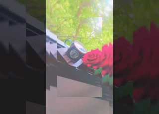  حلفتني امي ماحاكي حدا فيروز وقهوة