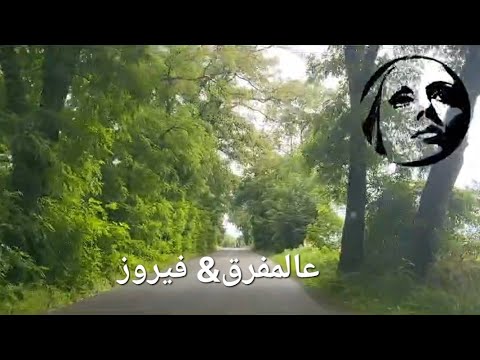 أديش كان في ناس عالمفرق فيروز