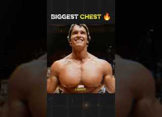  Biggest Chest In Bodybuilding History Arnold Chest Bodybuilding Youtubeshorts