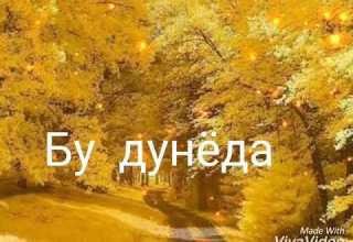 Мехр окибат йуколмасин