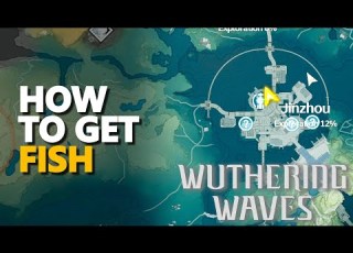  How To Get Fish Wuthering Waves