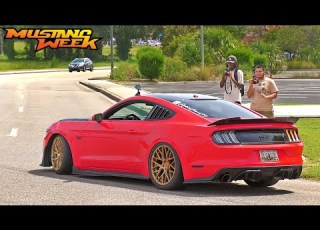 Mustang Week 2024 Cars Coffee Pullouts Cops Mostly Chill