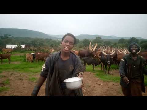 JILEKA MAPANDA AKIKAMUWA MAZIWA Msambazaji Jileka Mapanda TV 1 1 2026