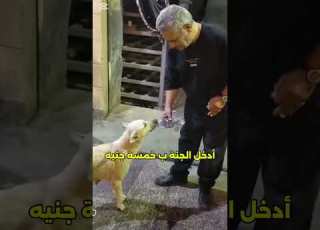  سر النجاح الاحساس بالآخر أسرار الاسلام جديد كلاب