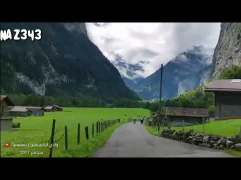 شيلة ياناعسه مالك بطيء