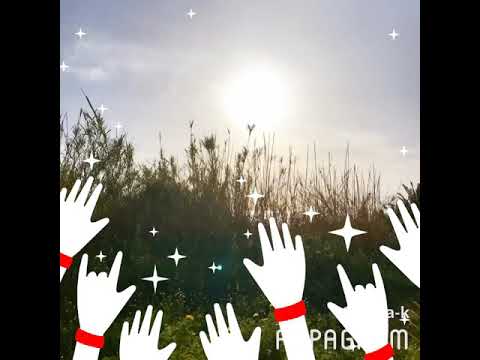 هاني شاكر معاك