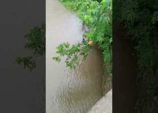 Gudiyagorakhpuriyachannel1357 ঘ র ণ ঝড র ম ল র প রভ ব স র ব ল দ শ