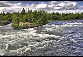 ШЕЛ КАЗАК НА ПОБЫВКУ ДОМОЙ
