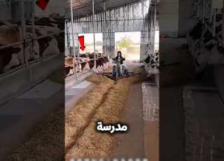 بنت بتشتغل عشان تجيب لبس المرسة بتاعها