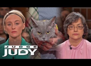  Woman Sues Cat Breeder For Selling A Sick Cat
