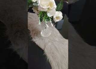 الإعلان عن تاريخ انطلاق التقويمات الخاصة بالفصل الثالث