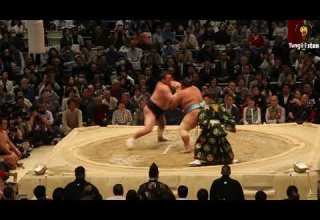 مصارعة السومو رياضة شعبية يابانية