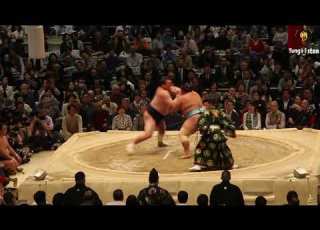 مصارعة السومو رياضة شعبية يابانية