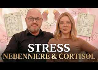  Was Stress Wirklich Mit Dir Macht