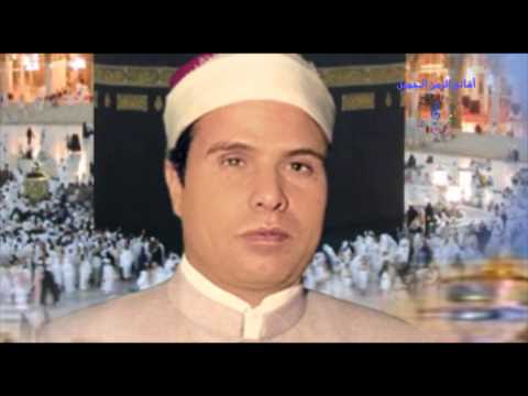 الشيخ محمد عبد الهادى مولد النور