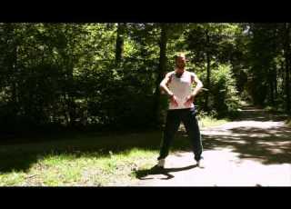 Robota Ichimu Fabien Fromont Tai Chi In Zero Gravity