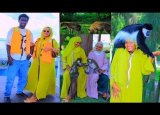 Sulxiin Saphryzii Na Godhee Hedduu Gamadee Waan Adatiin Dhufee Hardha