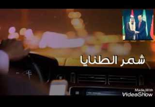 شيله الطنايا فعلهم للكبد كية