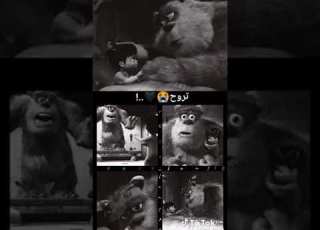 قطتك لازم تروح