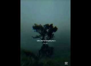 Numb Little Bug Em Biehold L Lyrics L English Song L Asthetic L Songs Viral Fypシ