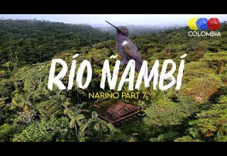 Birding In Rio Nambi Reserve Narino Rare Species 
