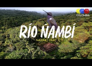 Birding In Rio Nambi Reserve Narino Rare Species