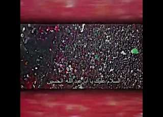 كان اين وحيدا في ارض كربلاء ستوريات حسينيه لايك اشتراك