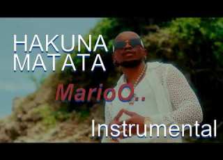 HAKUNA MATATA MarioO Instrumental Lylics 2k Views 1 Hour Ago