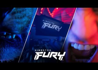 Kingston FURY Power Strength Performance