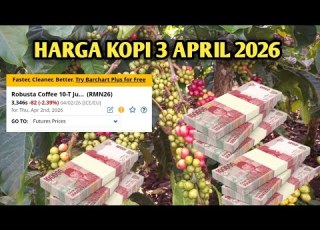 TODAY S LATEST COFFEE PRICES APRIL 3 2026