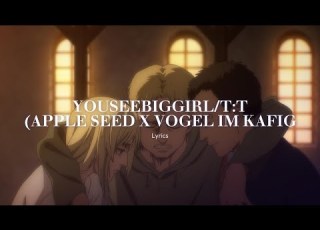 YOUSEEBIGGIRL T T Apple Seed X Vogel Im Kafig Lyrics