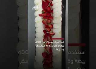 أطول كعكة فراولة في العالم