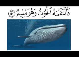 قصة يونس عليه الصلام بالصور وإن يونس لمن المرسلين مكررة للأطفال