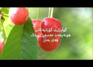 35 هونەرمەند حەسەن زیرەک هەی بەناز