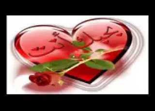 حبيب القلب هو بينحب