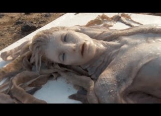  REAL Mermaid Sightings Around The World
