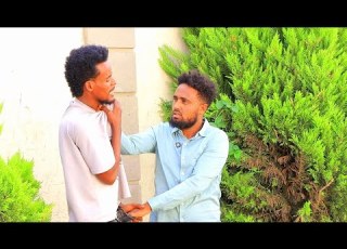 Margaa Argadhe Dhukee Iraa Kase Yes