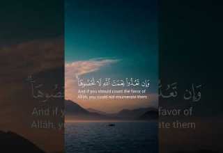 وآتاكم من كل ما سألتموه وإن تعدوا نعمت الله لا تحصوها إن الإنسان لظلوم كفار