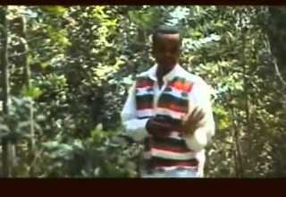 Daadhii Galaan Yaa Ejersa Oromo Music
