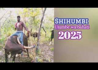  Shihumbi Ng Wana Peko Ujumbe Wa Bahati By Madirisha Studio