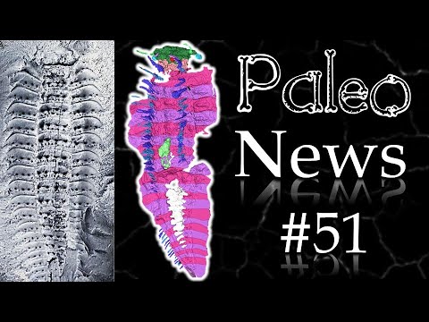 Arthropleura The Giant Millipede