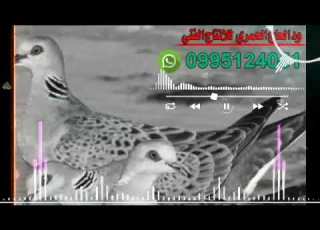 حالات واتس الفنان مكي ود هجام