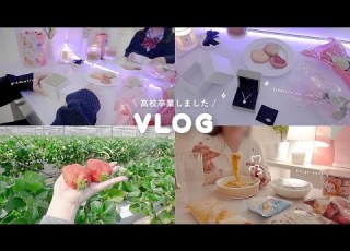  VLOG 高校卒業しました 母からの手紙と贈り物 DIYして深夜のコンビニ爆食 いちご狩りぼっち参戦