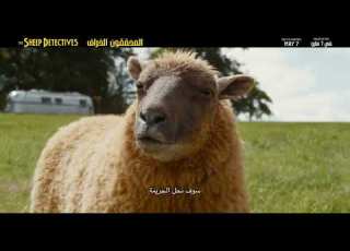 The Sheep Detectives Flock Kids May 7