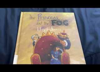  Read With Me The Princess And The Fog By Lloyd Jones A Book About Childhood Clinical Depression