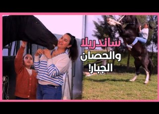 ساندريلا مروضة الحصان الجبار تحكي في أول ظهور لها قصتها مع الأحصنة العربية الأصيلة والتبوريدة