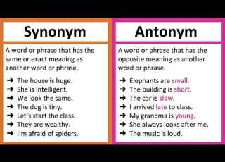  Grade 6 English Synonym And Antonyms