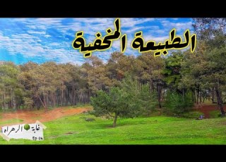 الطبيعة المخفية بمدينة طنجة غابة الرهراه سلسلة هنا طنجة